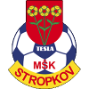 Logo TeslaStropkov