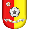 Logo TJ Malinovo