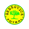 Logo TJ Sokol Sebkovice