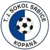 Logo TJ Sokol Srbice