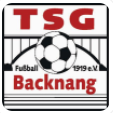 Logo TSG Backnang