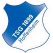 Logo TSG Hoffenheim (Youth)