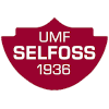 Logo UMF Selfoss