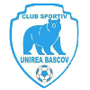 Logo Unirea Bascov