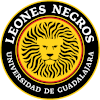 Logo Universidad Guadalajara III