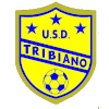 Logo USD Tribiano