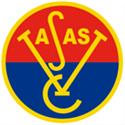 Logo VasasU21