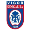 Logo Vigor Senigallia