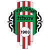 Logo Viktoria Zizkov