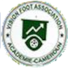 Logo Vision Foot (W)
