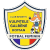 Logo Vulpitele Galbene Roman (W)