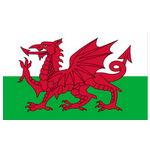 Logo U19 Wales (Nữ)