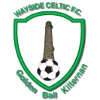 Logo Wayside Celtic