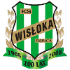 Logo Wisloka Debica