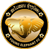 Logo Young Elephant FC